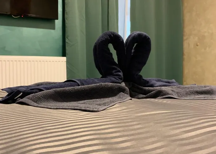 Neversea House ゲストハウス コンスタンツァ